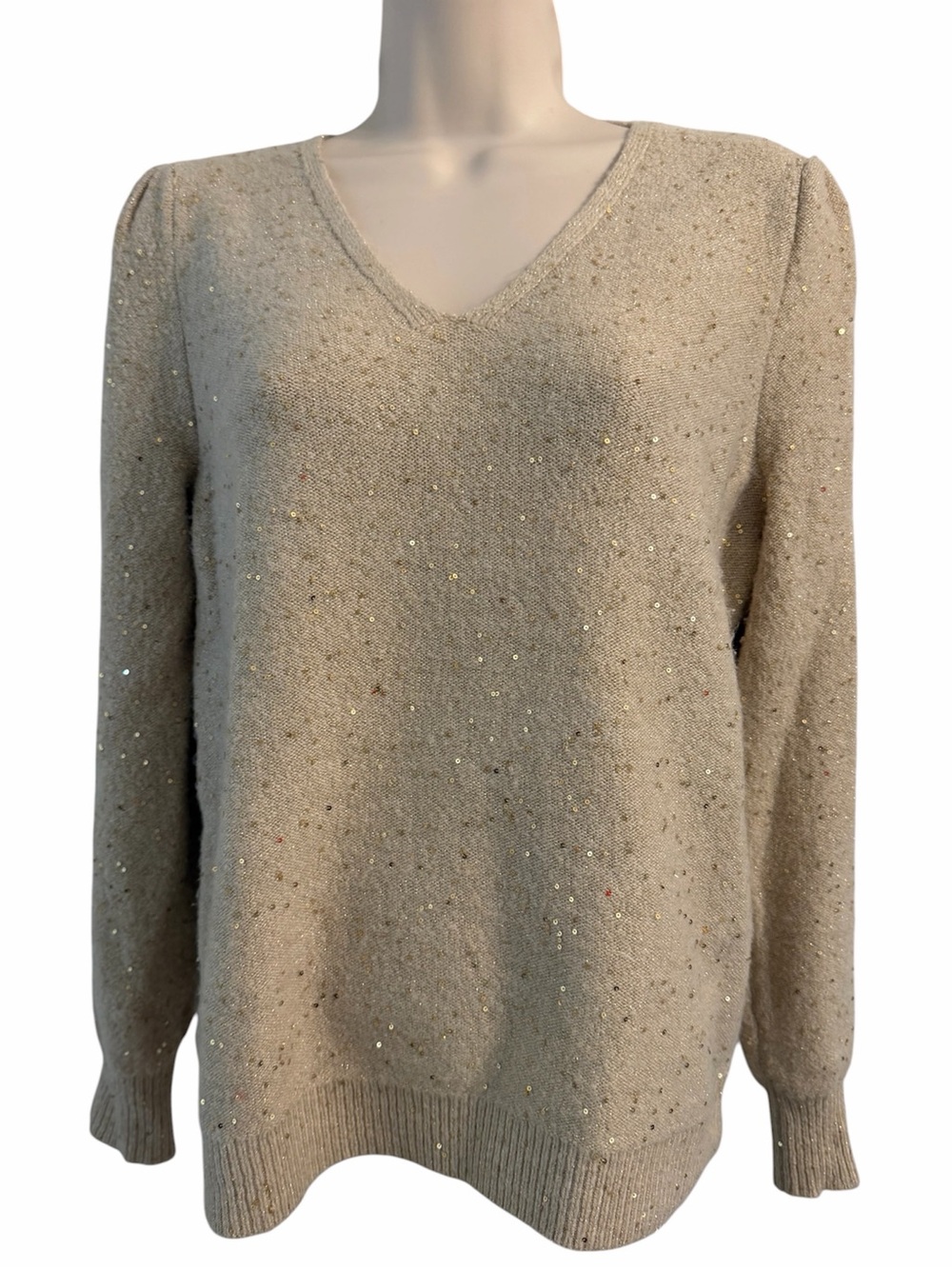 LOFT VNECK HOLIDAY SPARKLE SWEATER
SIZE SMALL EUC